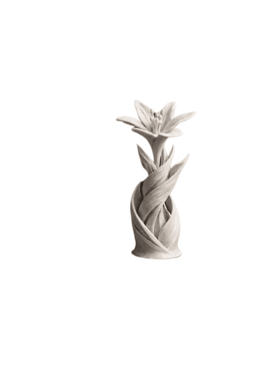 Flor rara